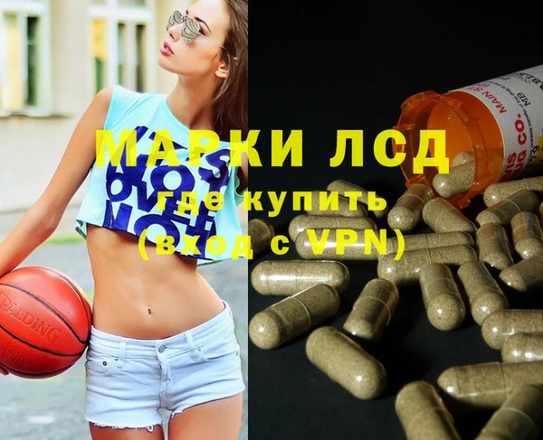 стаф Вязники
