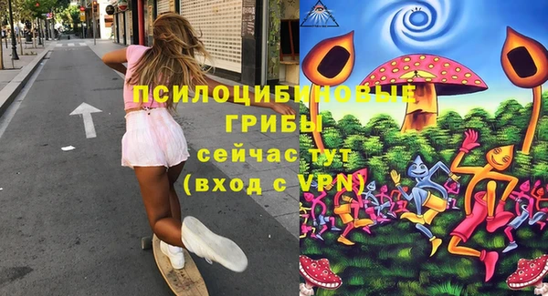 соль курить ск Сясьстрой